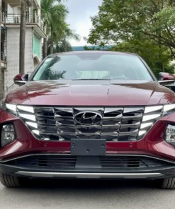 thuê xe du lịch tại long hồ