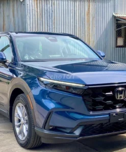 thuê xe du lịch tại tân an