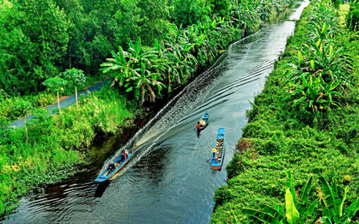 thuê xe từ vũng tàu đi cà mau