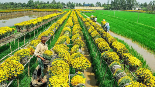thuê xe từ vũng tàu đi đồng tháp