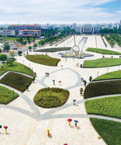 thuê xe vũng tàu đi bạc liêu